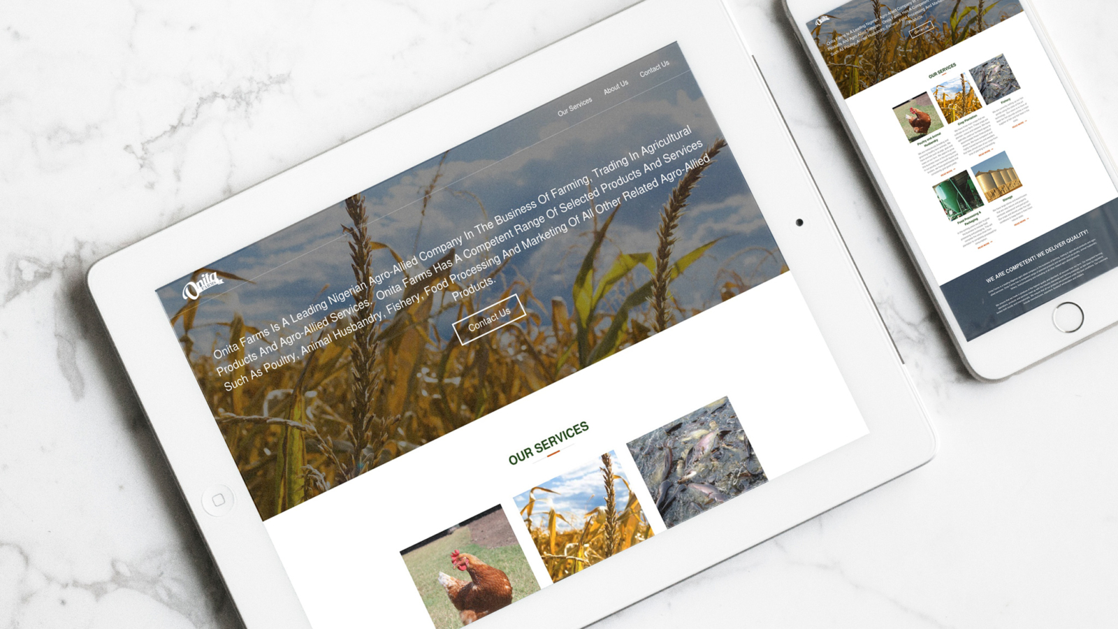 RedBoxx-ads-Websites-OnitaFarms-1