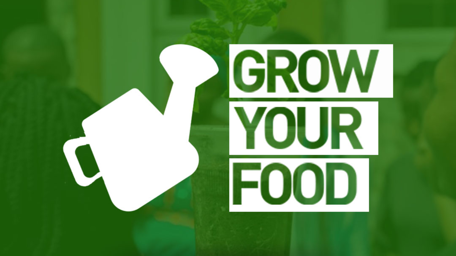 RedBoxx-2018-07-Web-Showcase-GrowYourFood-fm